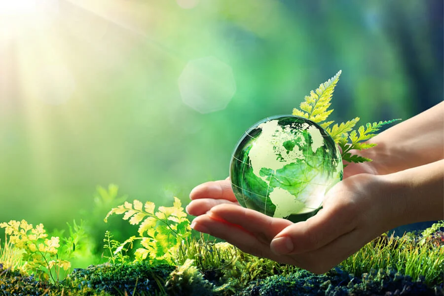 Protect the Environment