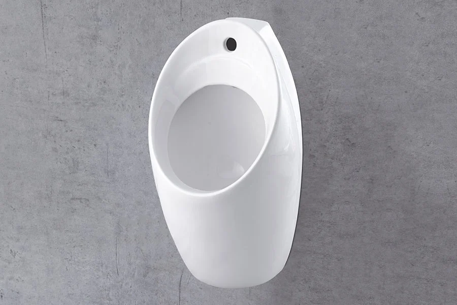 Urinal or Other